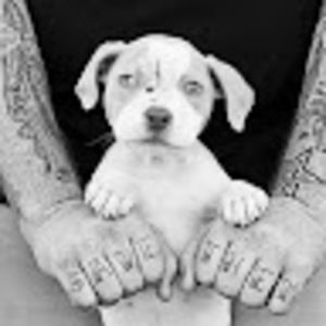 Meet your Posher, Miguel